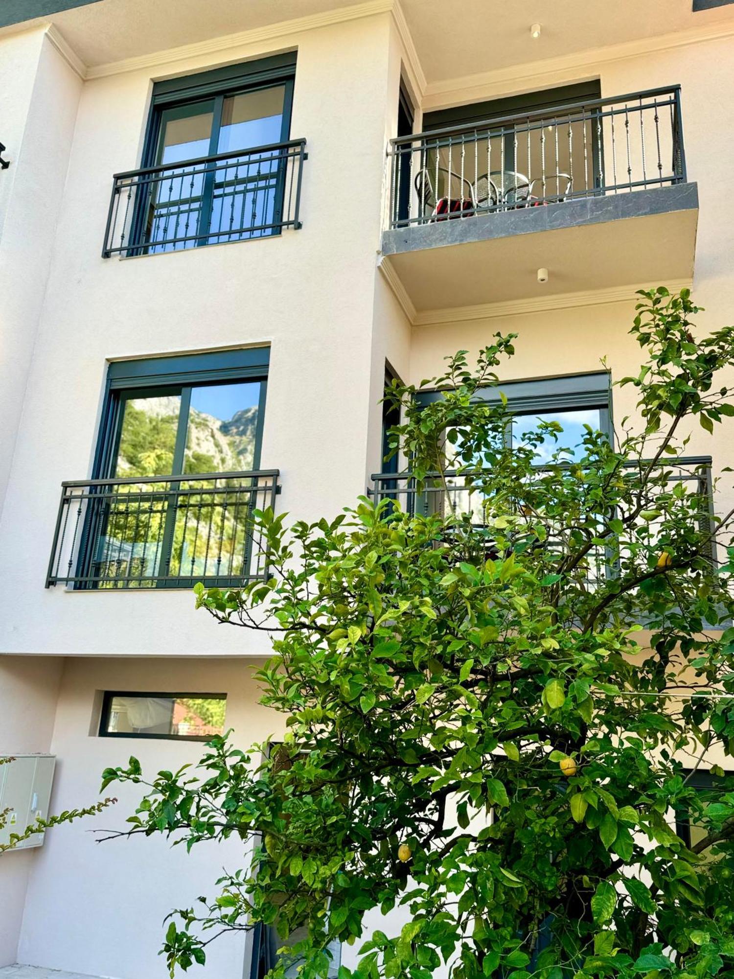 Harmony Garden Apartments Kotor Dış mekan fotoğraf